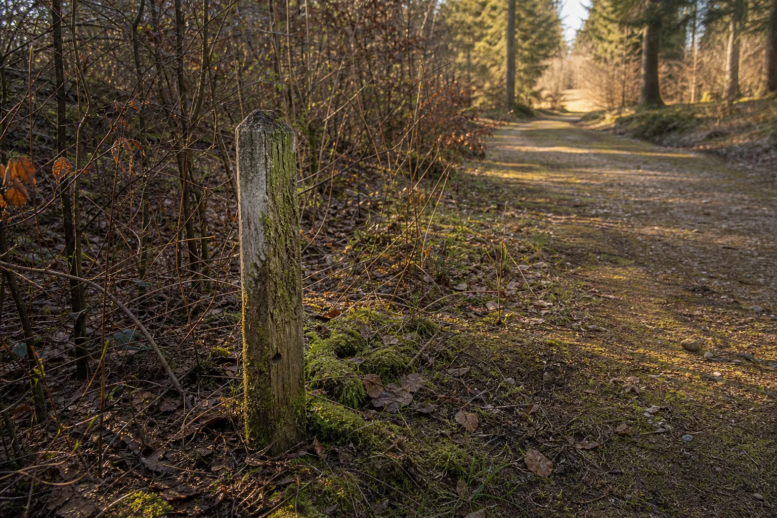 Bushcraft camp legality: can you build shelters on public land?