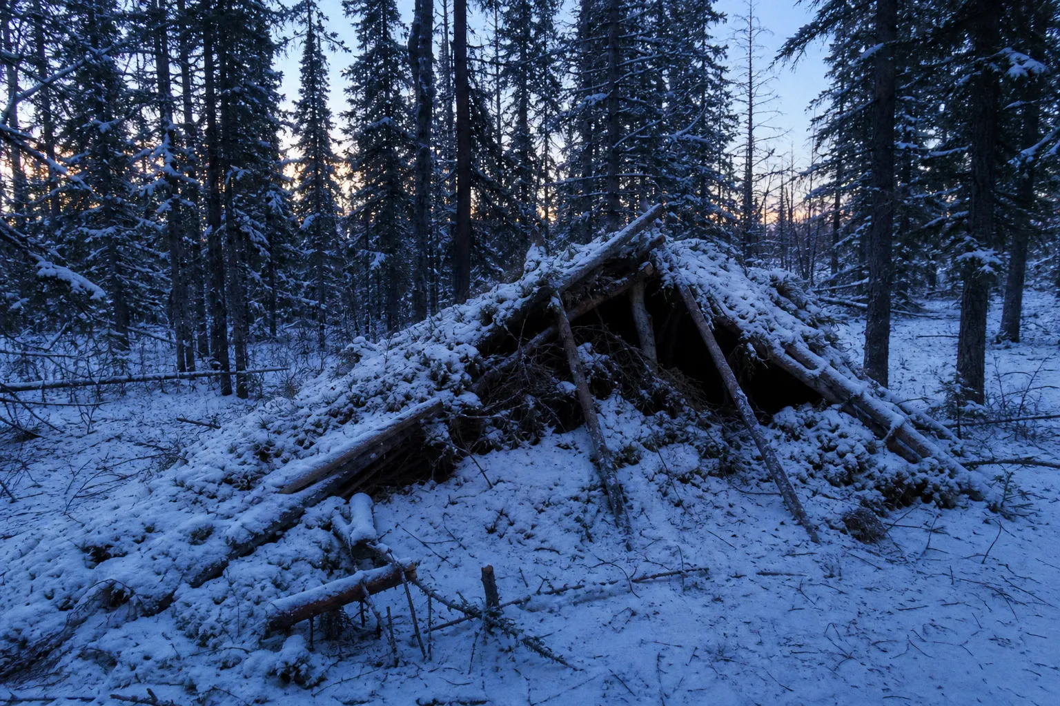 Bushcraft shelter collapse taught me a cold survival lesson