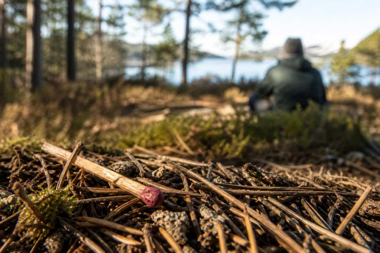 Bushcraft survival is more about mindset than gear